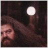 HAGRID