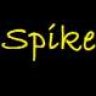 Spike