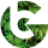 Umbrela