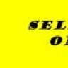 SellerOne
