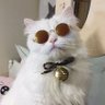 AnatoliyGOSS
