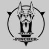 Pincher team
