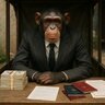 Chimpanzee