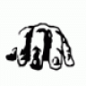 MycopkoB.NET
