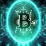 bitrex24