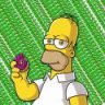 BTC SIMPSON