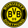 BvB09