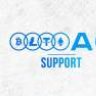 AuudiA6Support