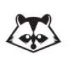 raccoon82