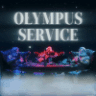 OLYMPUS SERVICE