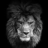 Dimaone