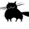 chat noir