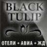 BlackTulip
