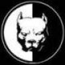 Buldog