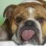 Fedoss