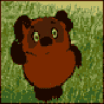 Andreich_kms