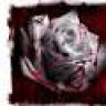 Bloody Rose