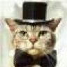 mr.cat1