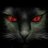 The goot cat