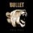 bigbullet