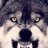 Wolfna