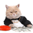 Cat Boss
