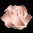 RoseGold