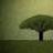 Baobab MNM