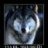 Volf07