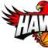 Mr.Hawk