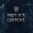 ROLEX OBNAL