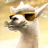 llamaaa