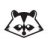 raccoon82