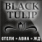 BlackTulip
