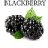Blackberry