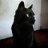 blackcatit